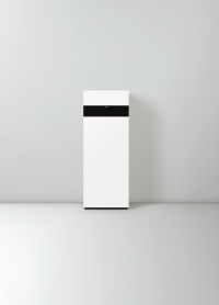 Viessmann VITODENS 222-F B2SF 32 кВт (Z019425)